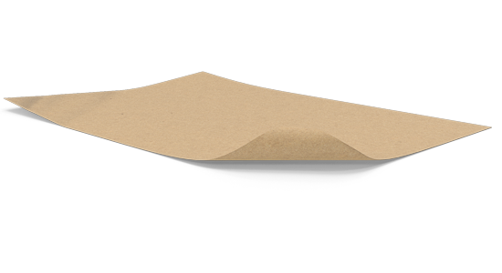 Carta professionale